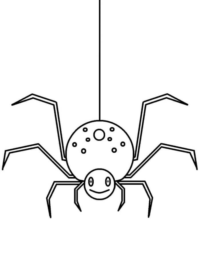 Edderkopp Som Henger i Nettet fargelegging