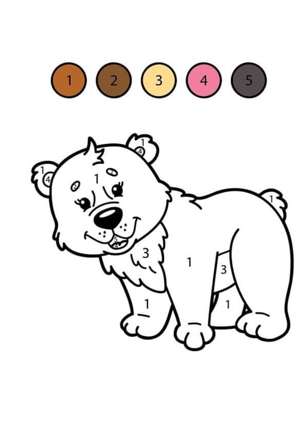 Farge Etter Nummer Brunbjørn fargelegging