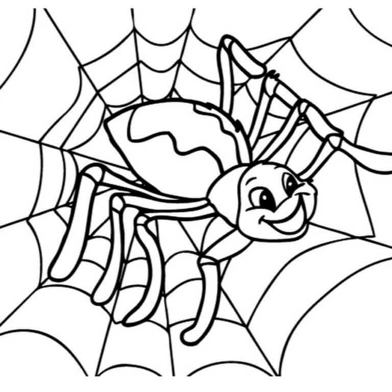 Glad Edderkopp Er Ferdig Med å Spinne Nettet fargeleggingsside