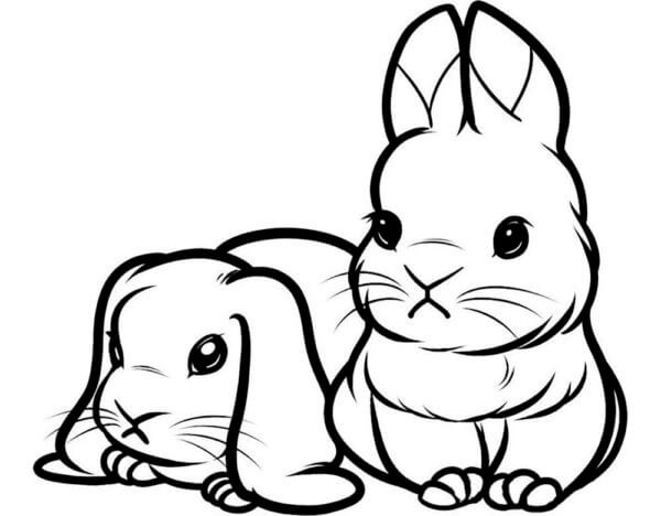 Kaniner Er Triste fargeleggingsside