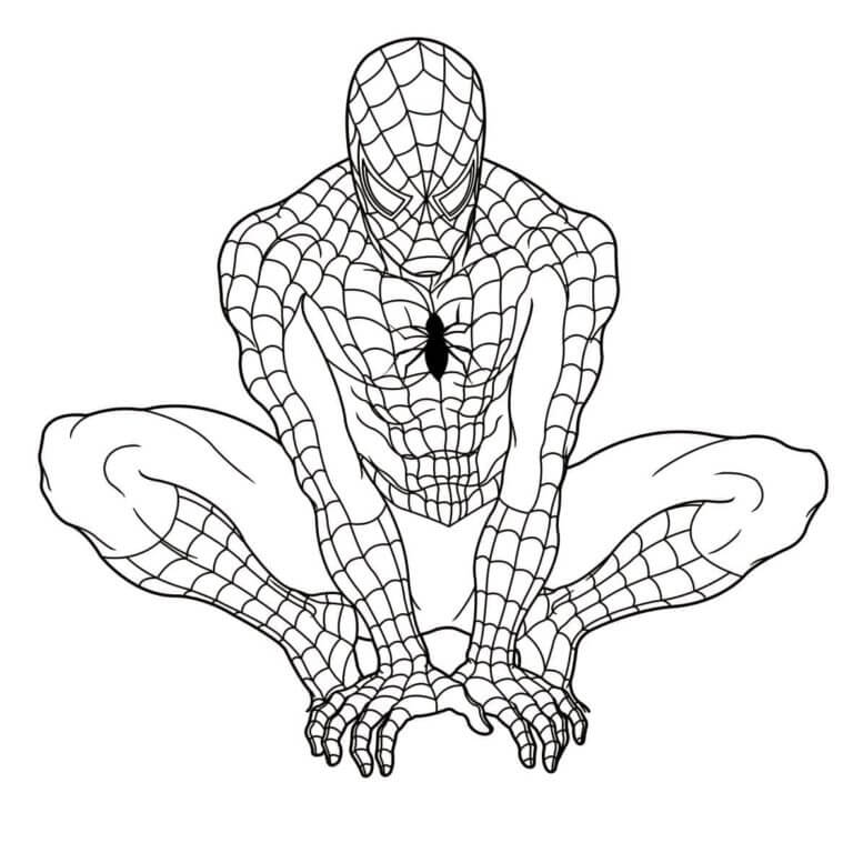 Modig Spiderman fargelegging