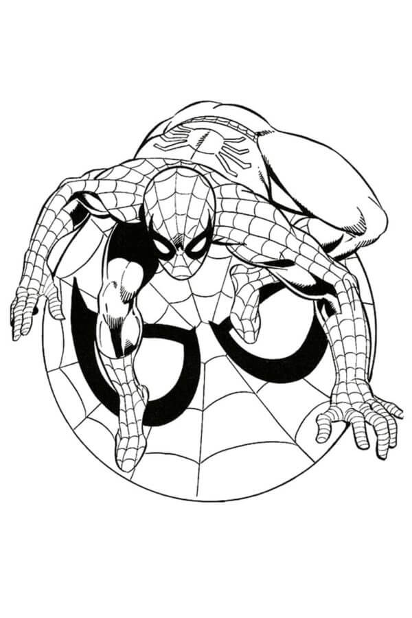 Spiderman-Hopp fargeleggingsside