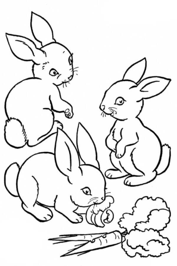 Tre Kaniner Med Gulrøtter fargelegging
