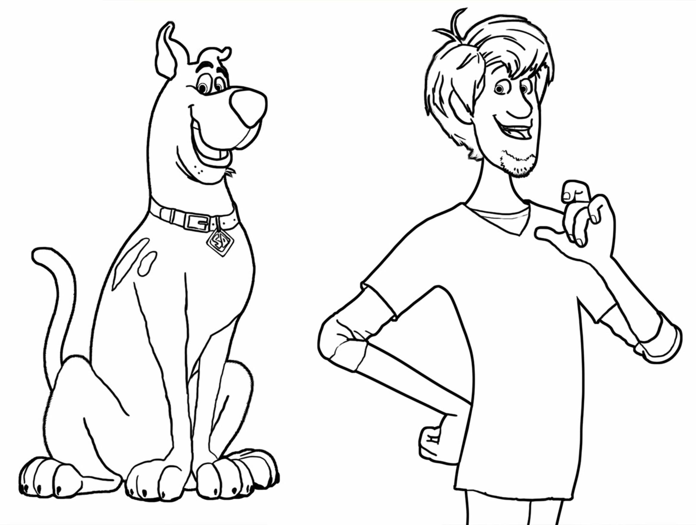 Morsom Shaggy og Scooby-Doo fargelegging