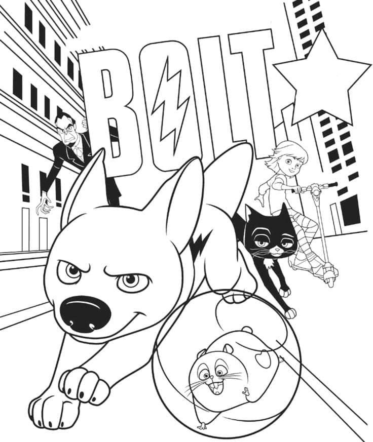 Bolt fargelegging