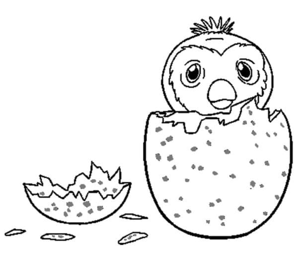 Gratis Hatchimals fargelegging