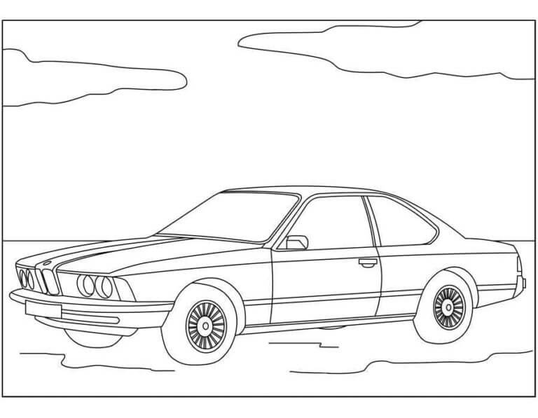 BMW E24 fargelegging