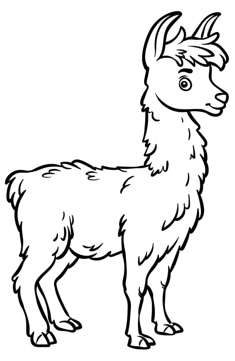 En tegneserie lama fargelegging