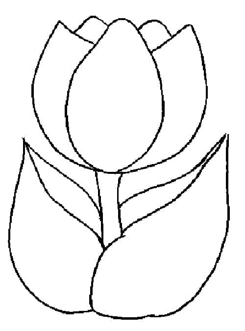 En tulipanblomst fargelegging