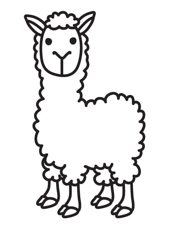 Enkel Llama fargelegging