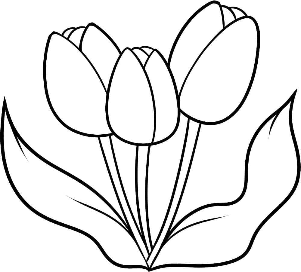 Enkle tulipaner fargelegging