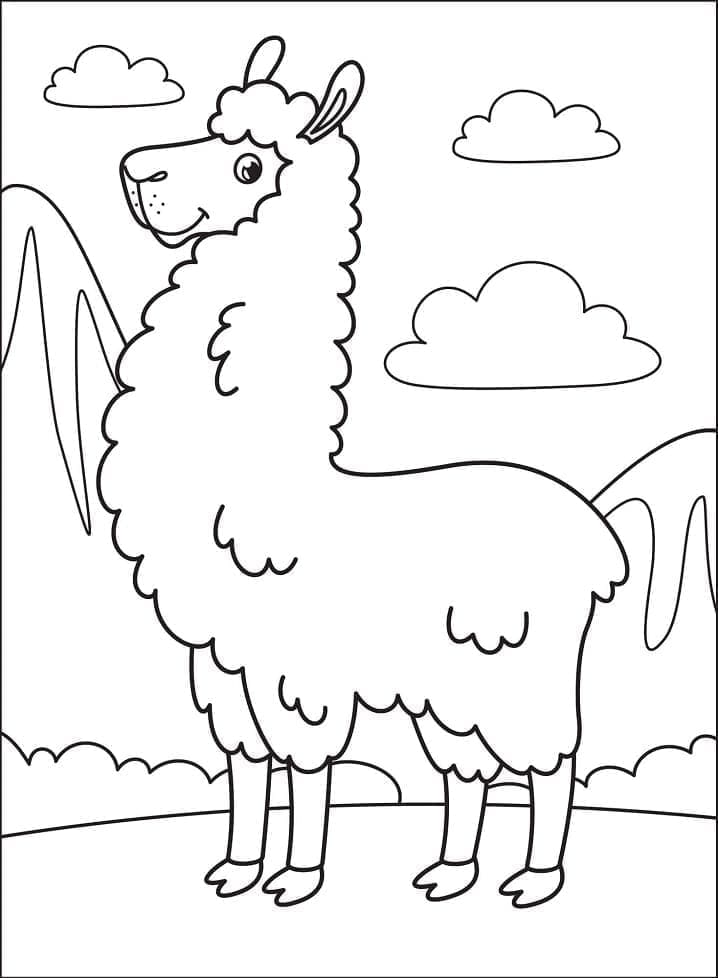 Glad lama fargelegging