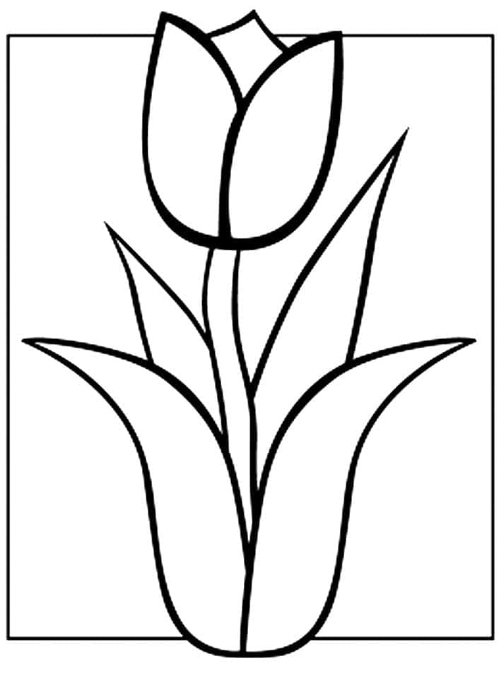 Gratis tulipan fargelegging