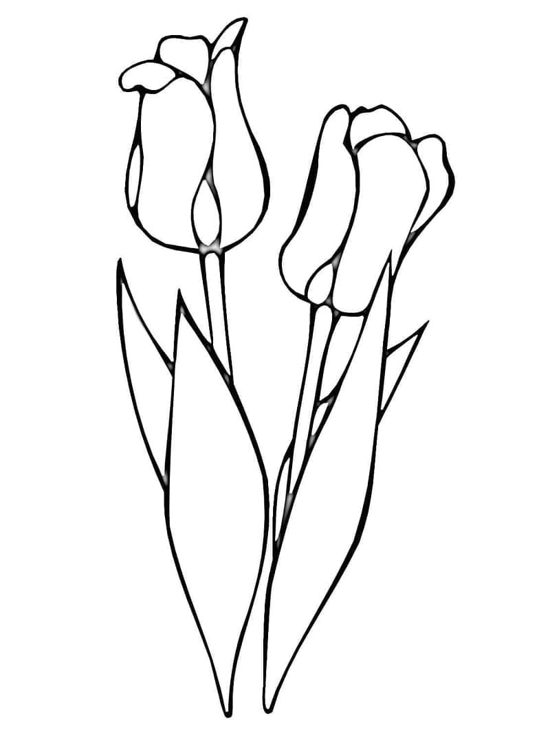 Gratis tulipaner fargelegging