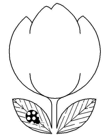 Gratis utskrivbar tulipan fargelegging