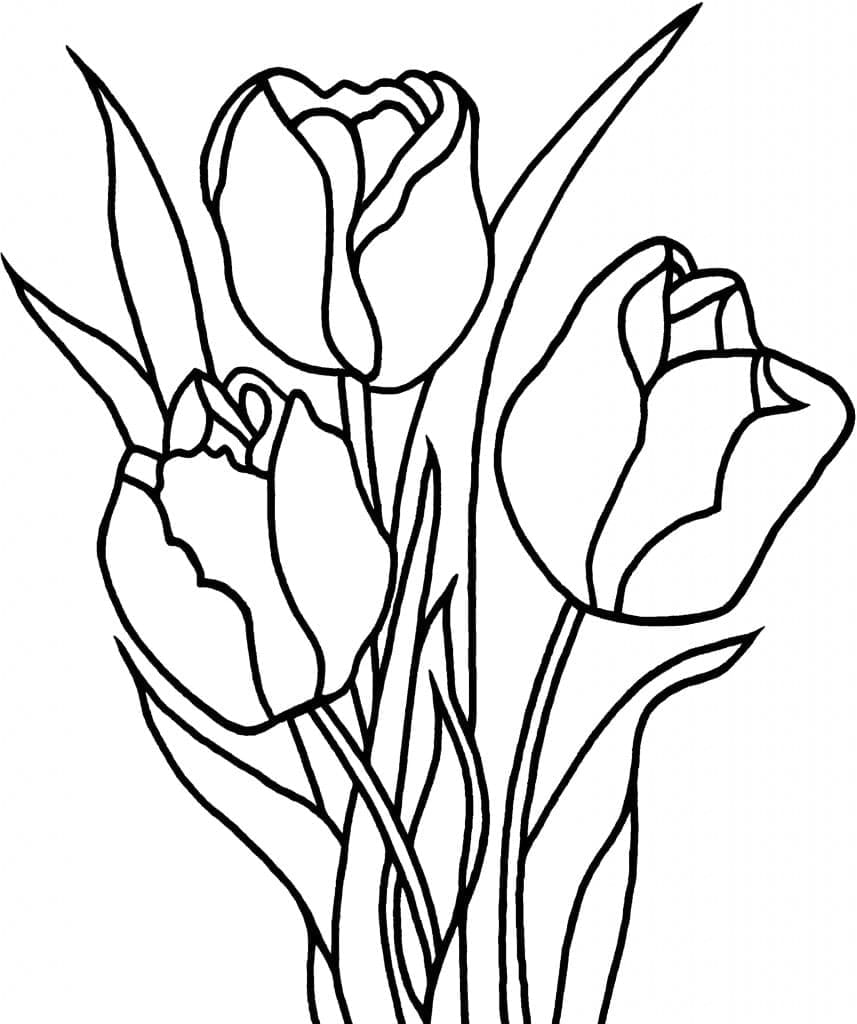 Gratis utskrivbare tulipaner fargelegging