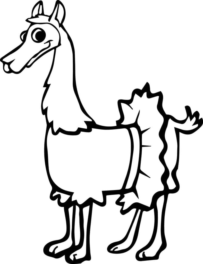 Lama i skjørt fargelegging