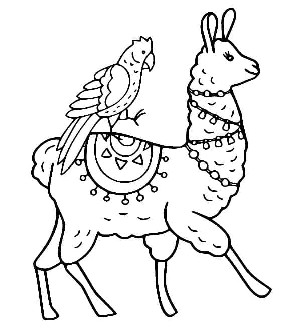 Lama og papegøye fargelegging