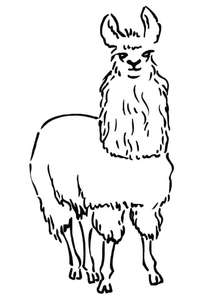 Lama som kan skrives ut for barn fargelegging