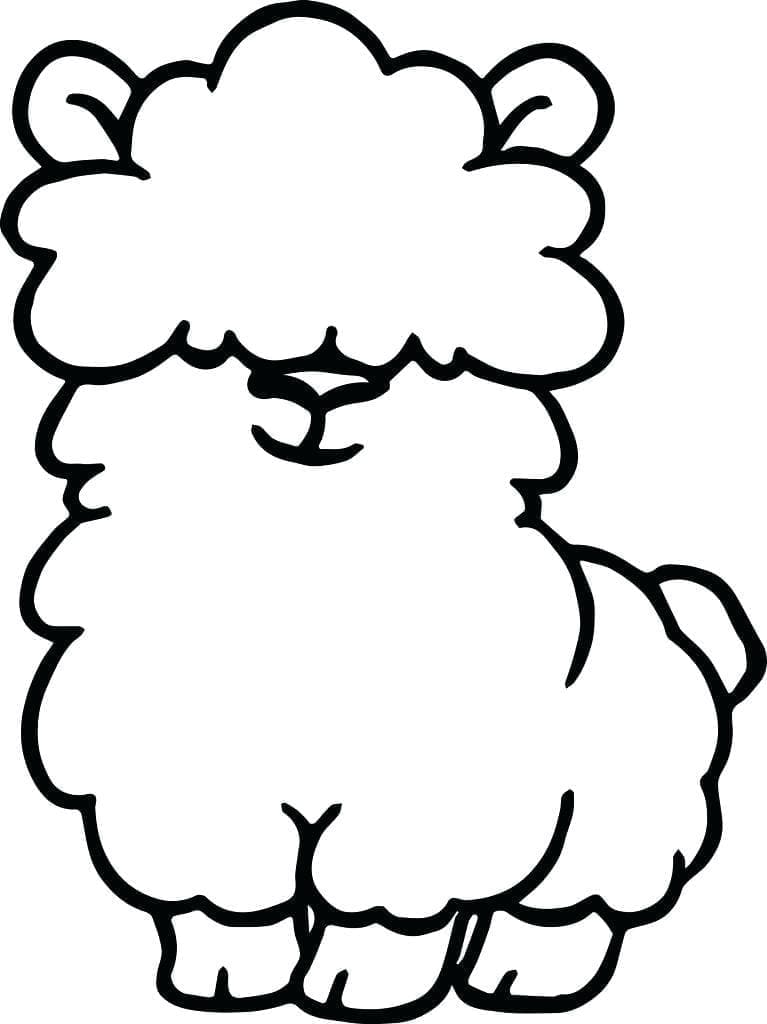 Lille Lama fargelegging