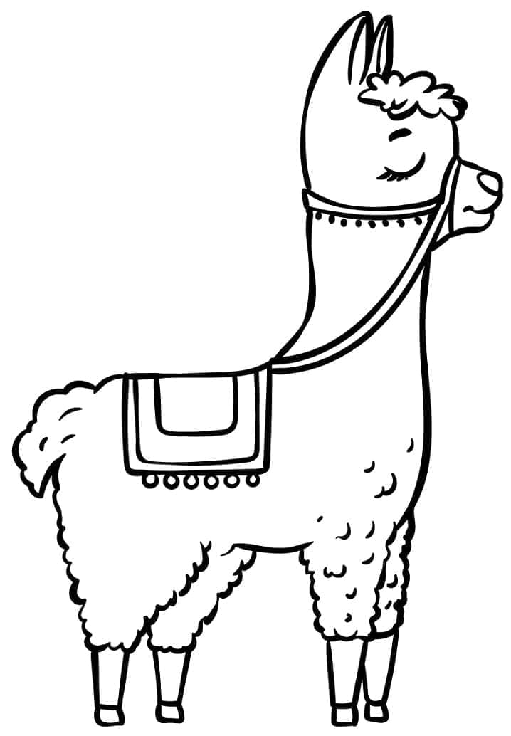 Nydelig lama fargelegging