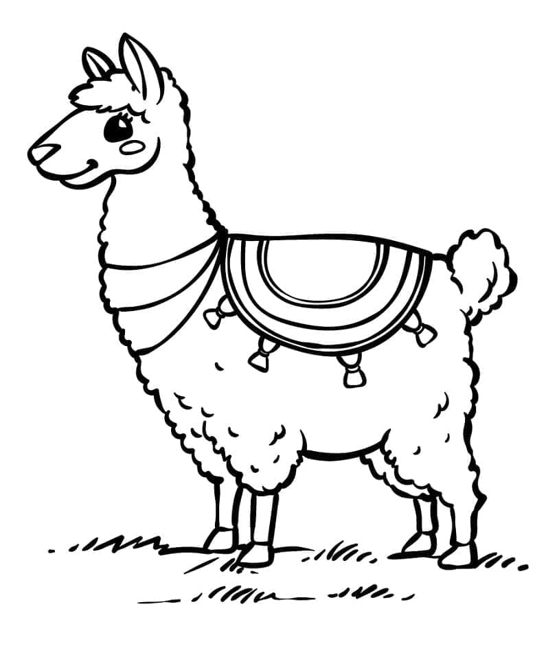 Pen lama fargelegging