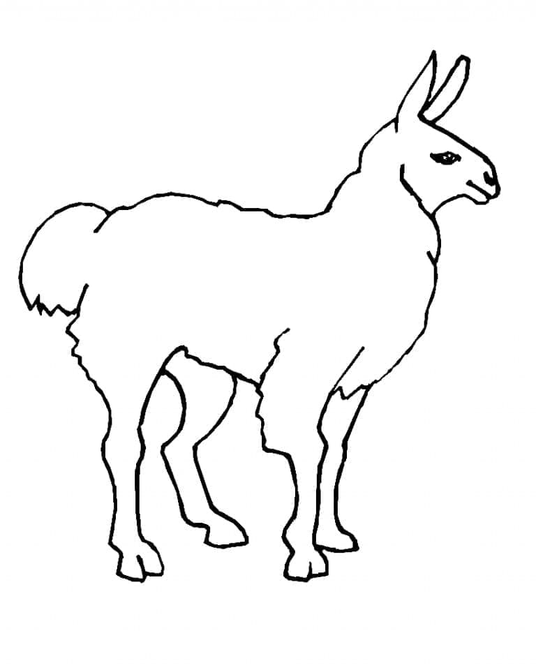 Skriv ut Llama fargelegging