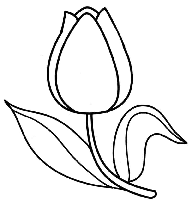 Skriv ut tulipan fargelegging