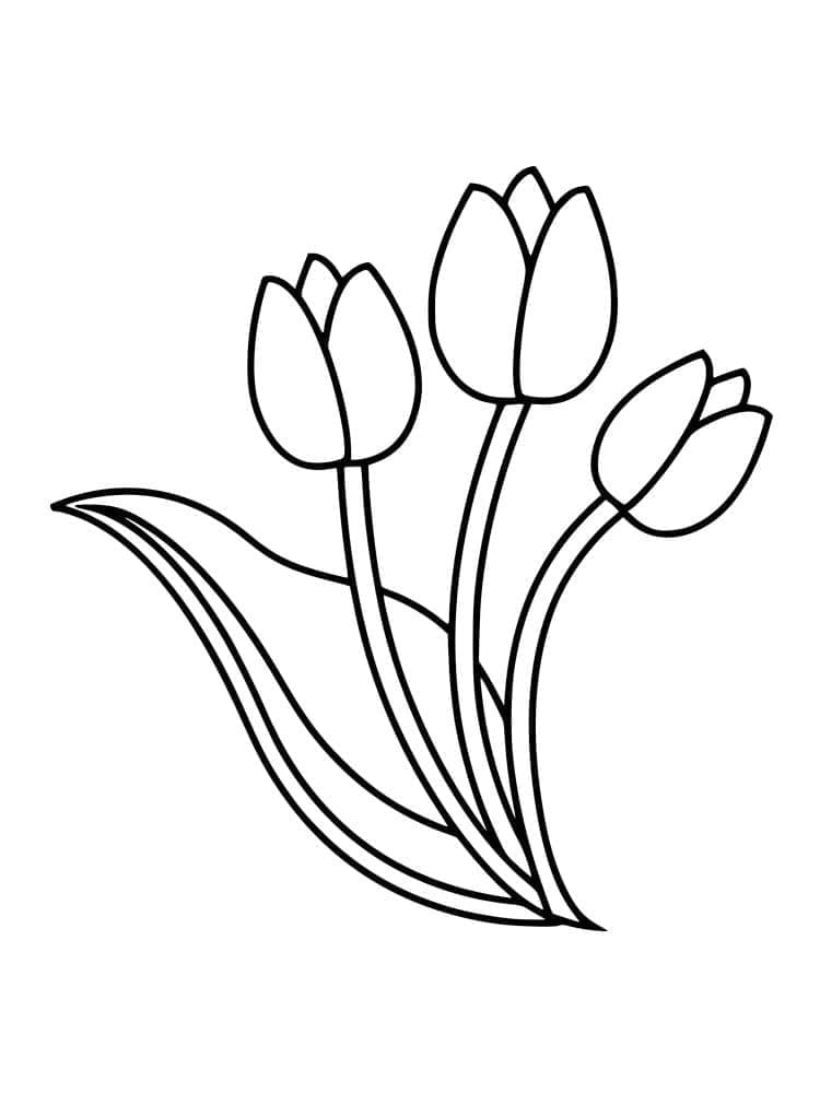 Tre tulipaner fargelegging