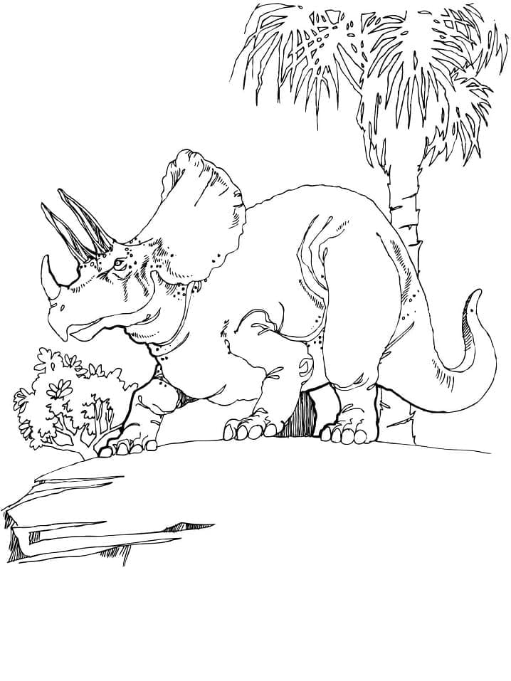 Triceratops Bildefri fargelegging
