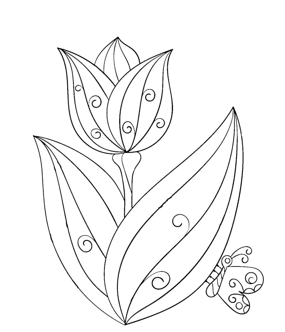 Tulipan og sommerfugl fargelegging