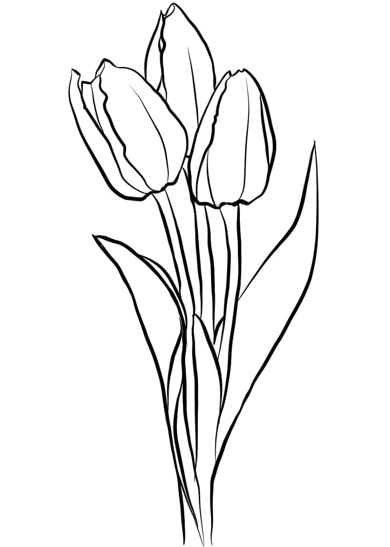 Tulipaner for barn fargelegging