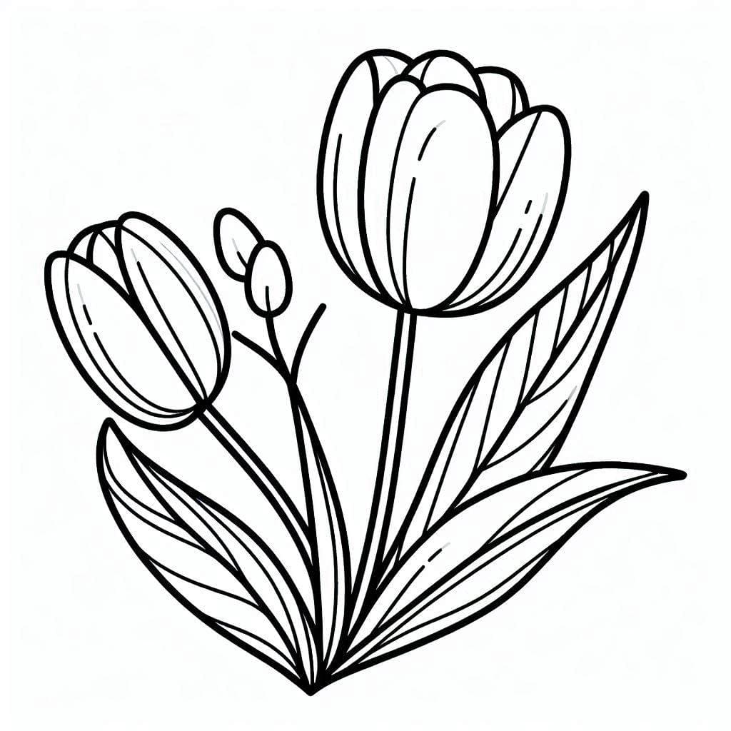 Tulipaner gratis fargelegging