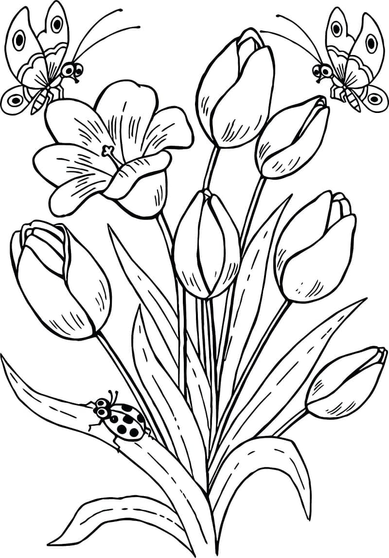 Tulipaner og insekter fargelegging