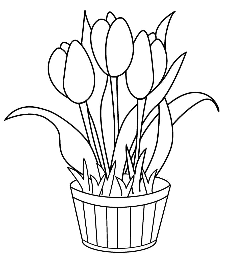 Tulipanvase fargelegging
