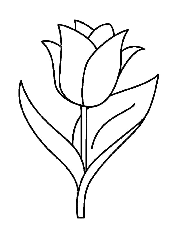 Utskrivbar tulipan fargelegging