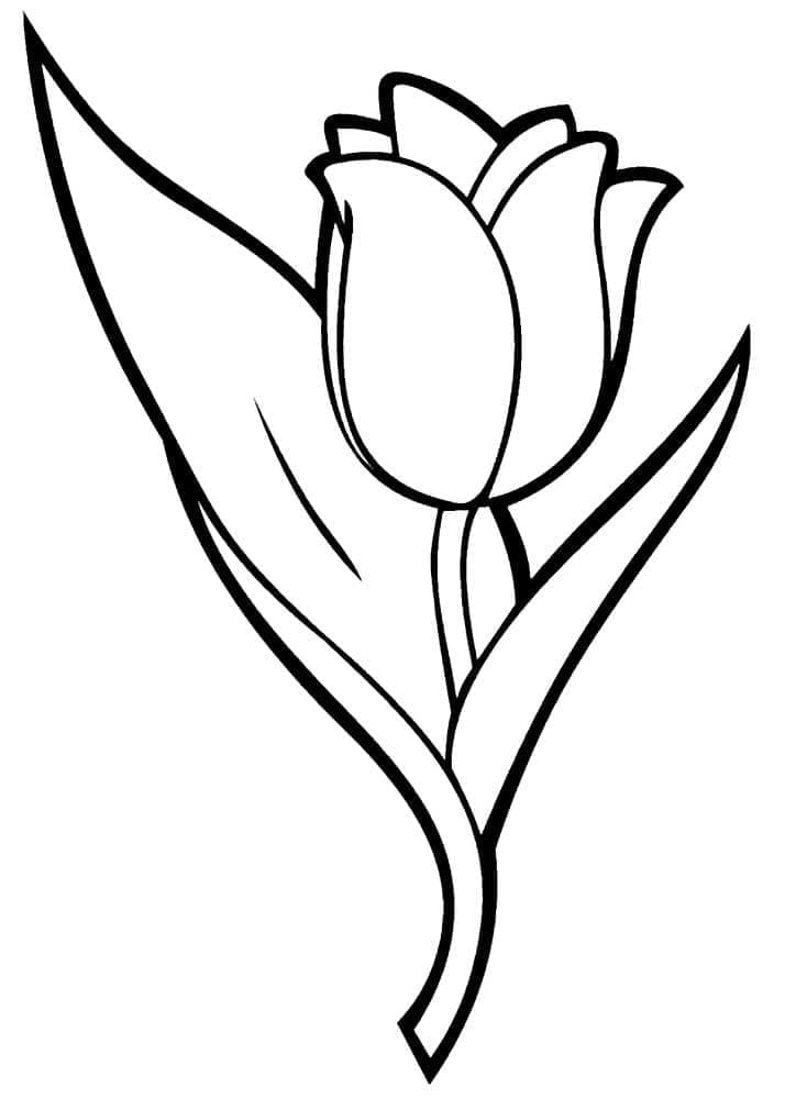 Utskrivbar tulipan gratis fargelegging