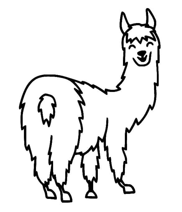 Lama Fargelegging