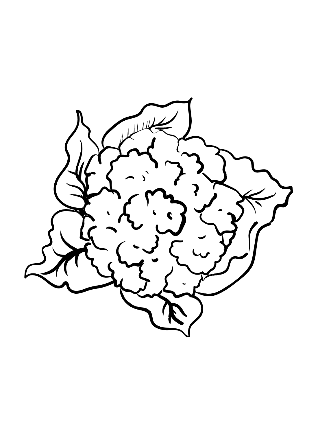Blomkål Fargelegging