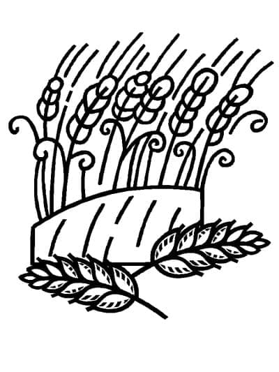 Hvetefri fargelegging