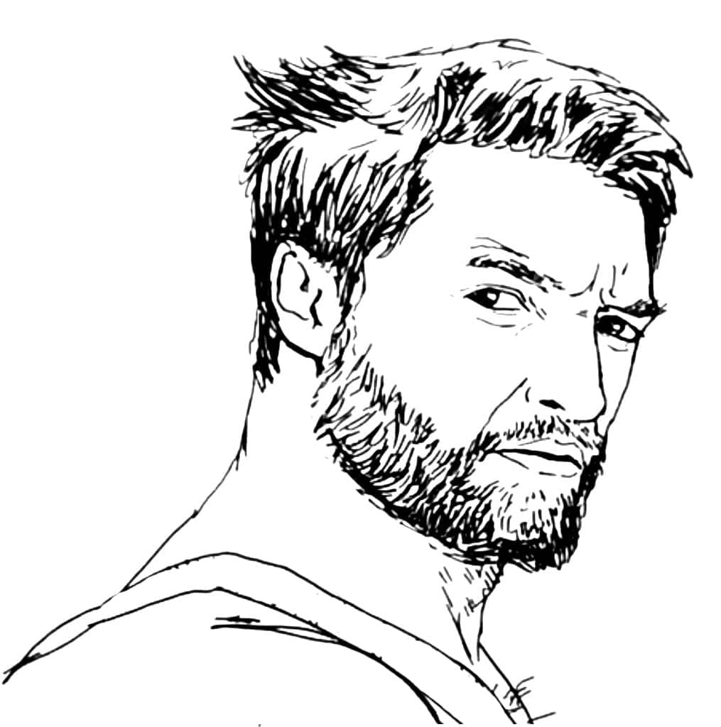 Logan fargelegging