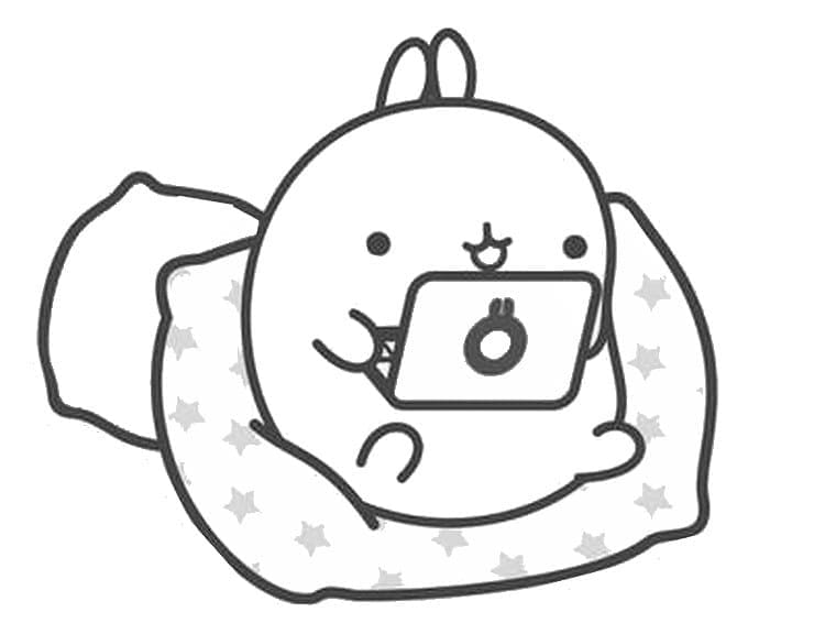 Molang bruker bærbar PC fargelegging