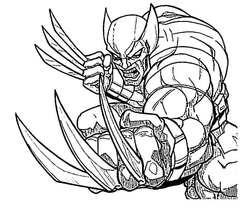 Sint Wolverine fargelegging