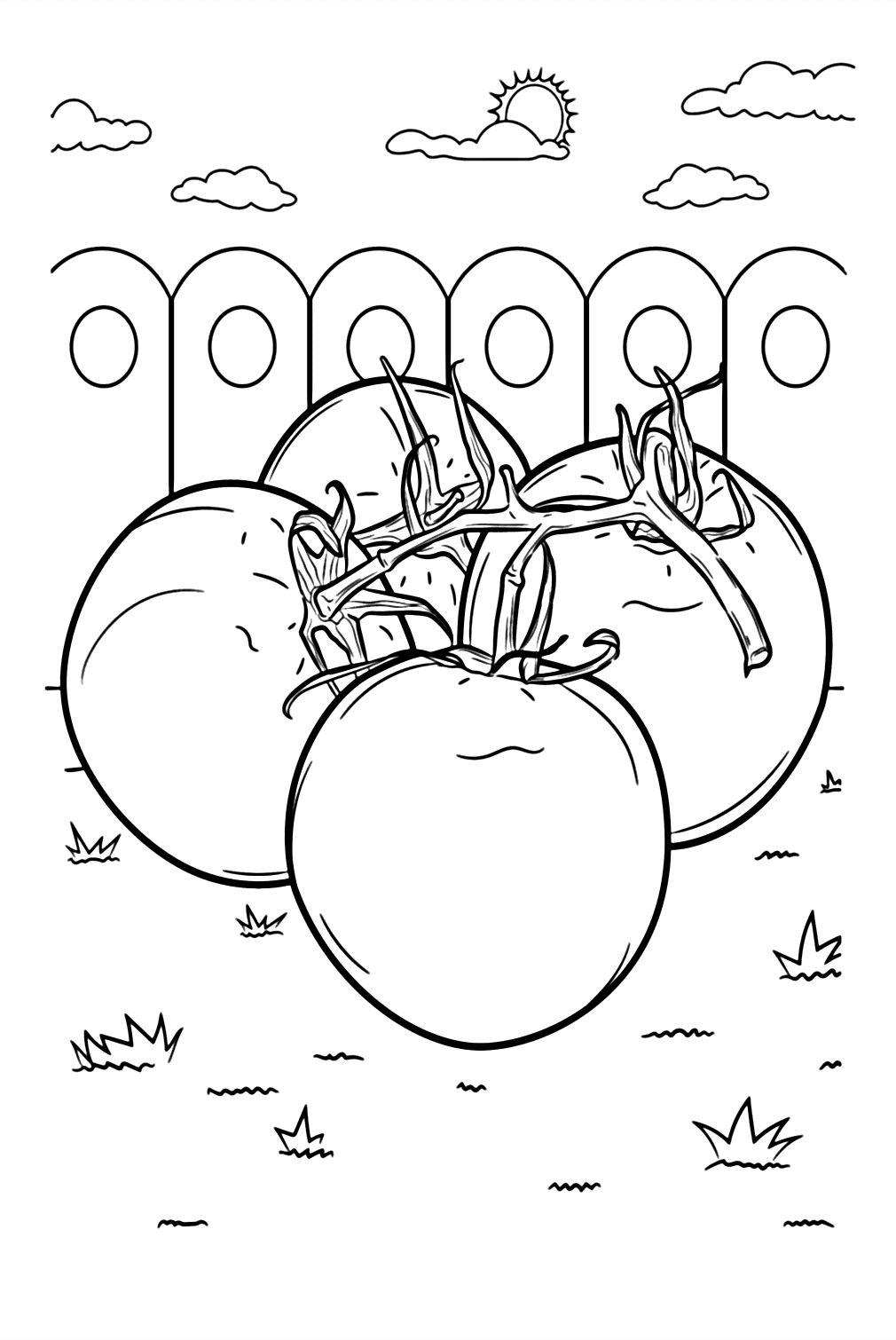 Tomatplanter fargelegging