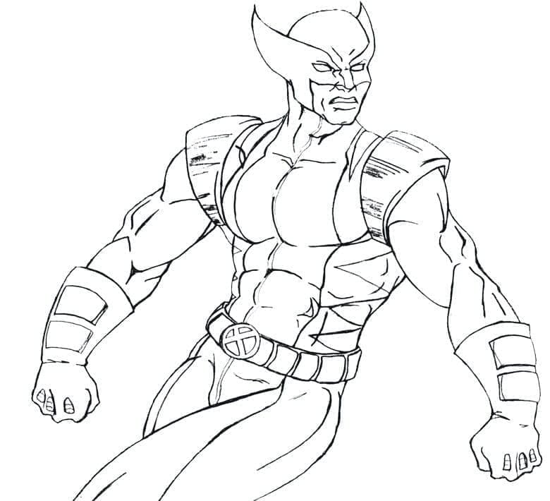 Wolverine Bilde fargelegging