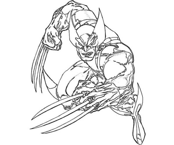 Wolverine Slåssing fargelegging