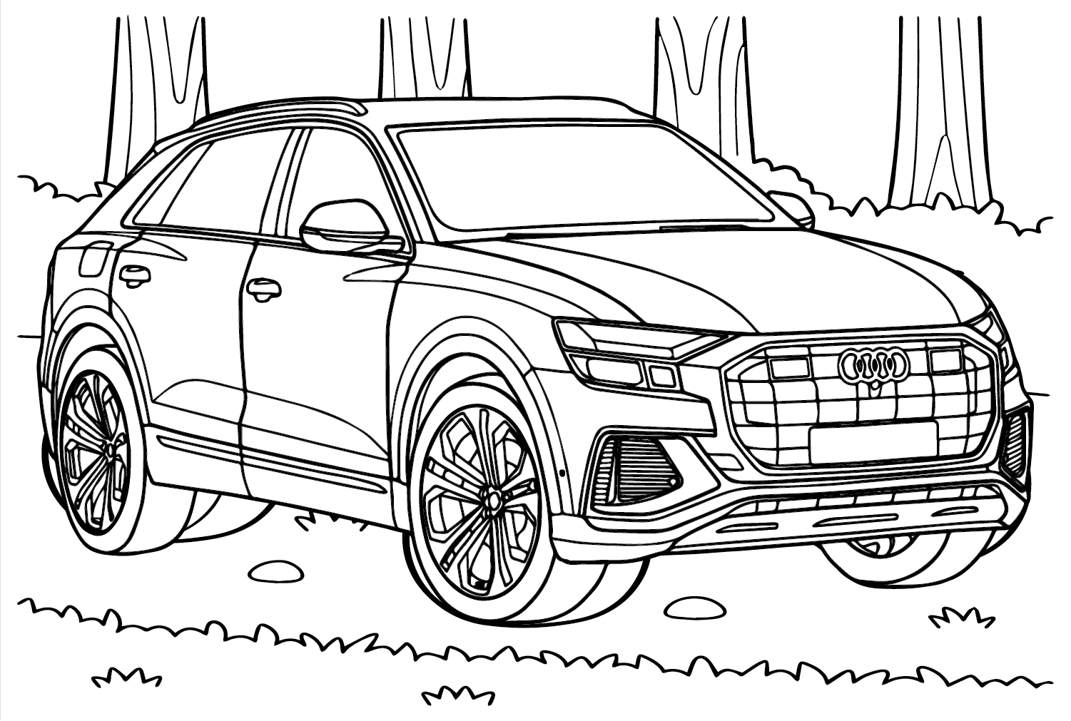 Audi Q8 45 TDI fargelegging
