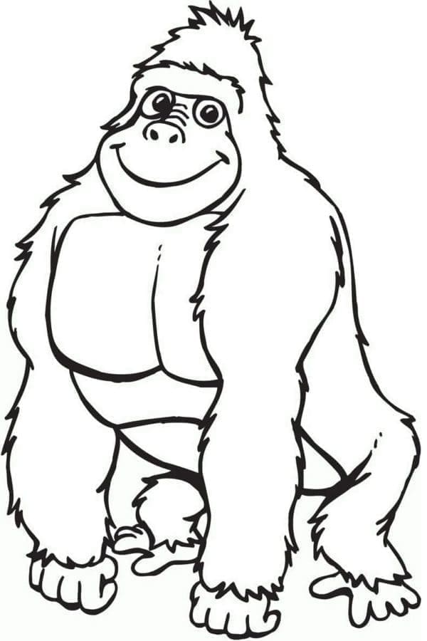 Animert gorilla fargelegging
