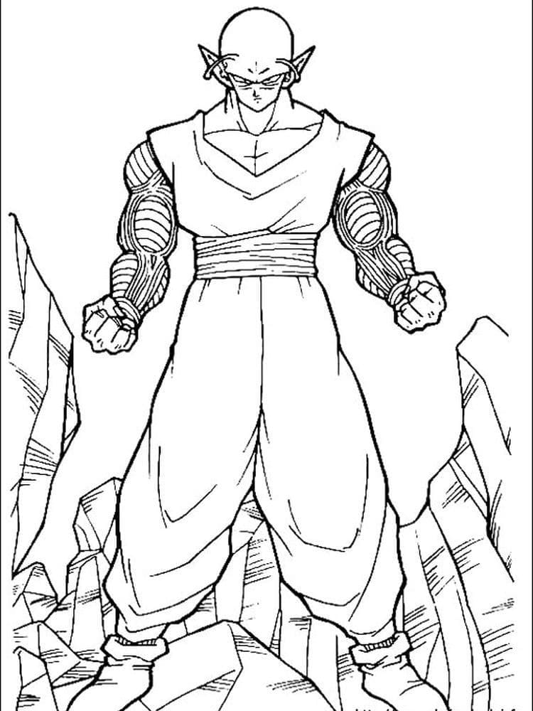 Dragon Ball Z Piccolo fargelegging