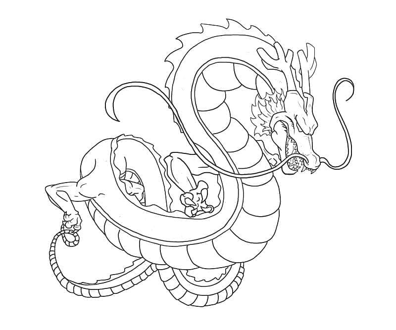 Dragon Ball Z Shenron fargelegging